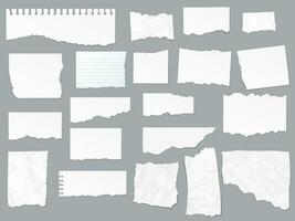 Torn paper notes, notebook, realistic vector