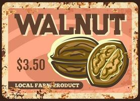 Walnut nut metal rusty plate, food poster vintage vector