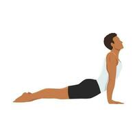 Man doing upward facing dog pose urdhva muka exercise vector