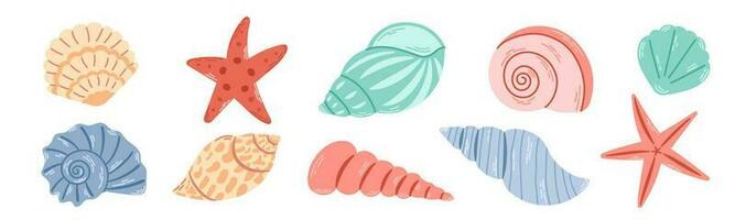 Set of colored sea shells. Modern flat illustration of seashells isolated on white background. vector