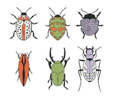 Colorful bug set. Collection of hand drawn insects vector