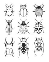 Set of different hand drawn bugs in black and white color vector