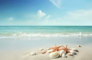 Seashells and starfish on the beautiful tropical beach and sea with blue sky background. Summer vacation concept photo