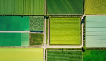 , Farm landscape, agricultural fields, beautiful countryside, country road. Nature Illustration, photorealistic top view drone, horizontal banner. photo
