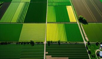 generativo ai, granja paisaje, agrícola campos, hermosa campo, país la carretera. naturaleza ilustración, fotorrealista parte superior ver zumbido, horizontal bandera. foto