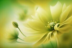 Green spring smooth flower abstract background. photo