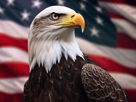 Bald Eagle with USA Flag in the background. photo