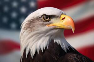 Bald Eagle with USA Flag in the background. photo