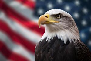 Bald Eagle with USA Flag in the background. photo