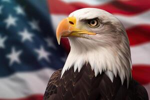 Bald Eagle with USA Flag in the background. photo