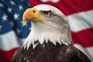 Bald Eagle with USA Flag in the background. photo