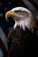 Bald Eagle with USA Flag in the background. photo