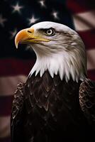 Bald Eagle with USA Flag in the background. photo