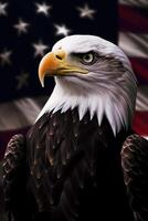 Bald Eagle with USA Flag in the background. photo