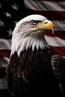 Bald Eagle with USA Flag in the background. photo