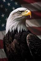 Bald Eagle with USA Flag in the background. photo