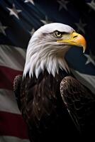 Bald Eagle with USA Flag in the background. photo