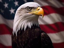 Bald Eagle with USA Flag in the background. photo