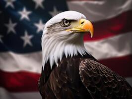 Bald Eagle with USA Flag in the background. photo