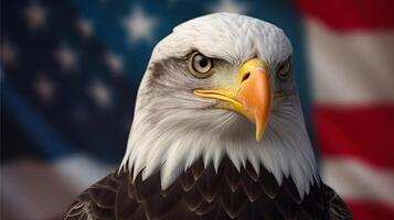 Bald Eagle with USA Flag in the background. photo