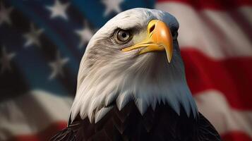 Bald Eagle with USA Flag in the background. photo