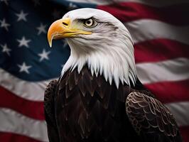 Bald Eagle with USA Flag in the background. photo