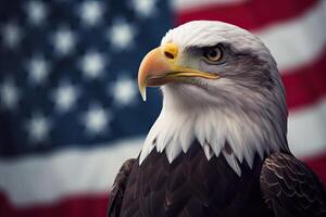 Bald Eagle with USA Flag in the background. photo