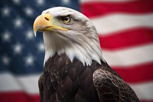 Bald Eagle with USA Flag in the background. photo