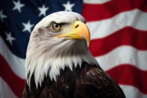 Bald Eagle with USA Flag in the background. photo