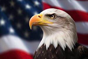 Bald Eagle with USA Flag in the background. photo