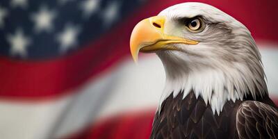 Bald Eagle with USA Flag in the background. photo