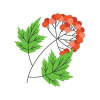 Red viburnum. Ukrainian symbols. vector