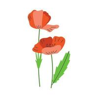 Poppy flowers. Ukrainian symbols. vector