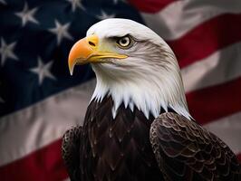 Bald Eagle with USA Flag in the background. photo