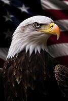 Bald Eagle with USA Flag in the background. photo