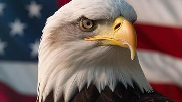 Bald Eagle with USA Flag in the background. photo