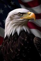 Bald Eagle with USA Flag in the background. photo