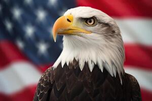 Bald Eagle with USA Flag in the background. photo