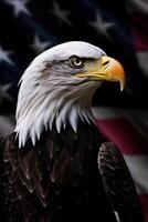 Bald Eagle with USA Flag in the background. photo