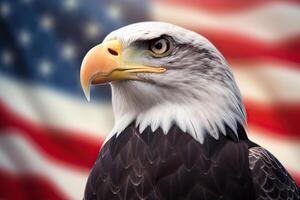 Bald Eagle with USA Flag in the background. photo