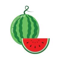 fresh watrer melon fruit isolated white vector