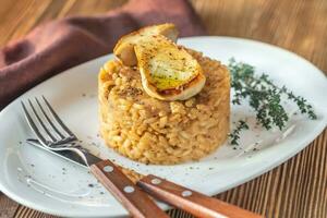 Risotto with porcini mushrooms photo
