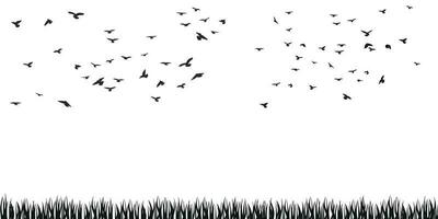 A flock of flying birds silhouette, flight in different positions. Hover, soaring, landing, flying, flutter. Isolated vector