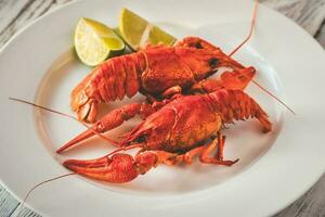 Dish of boiled crayfish with sauce photo