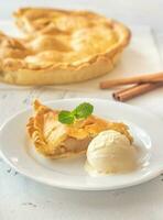 Portion of apple pie photo