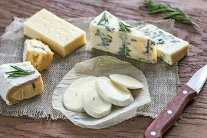 Various types of cheese photo