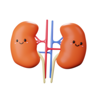 3D Kidneys Icon png