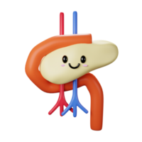 3D Pancreas Icon png