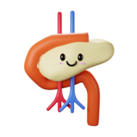 3d pâncreas ícone png