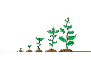 Continuous one line drawing infographic of planting tree. Seeds sprout in ground. Seedling gardening plant. Sprouts, plants, trees growing icons. Single line draw design vector graphic illustration